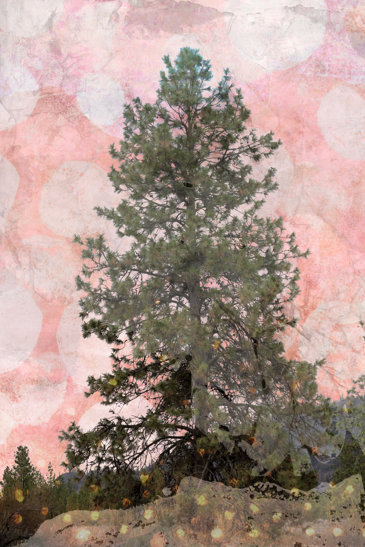 Season’s Greetings